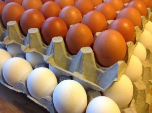 Råvaruguide för Ägg