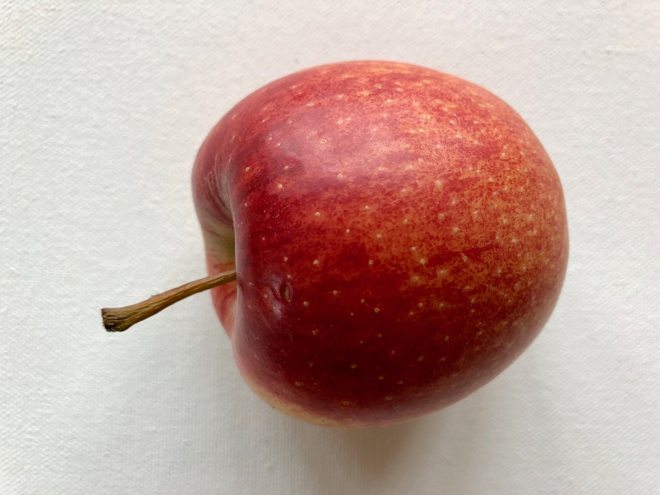 Bilp på ett äpple