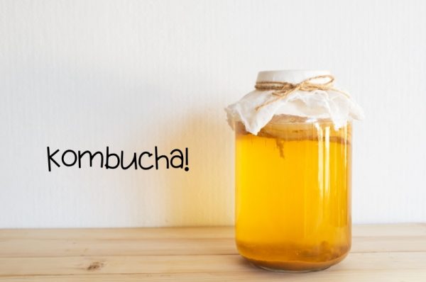 Kombucha i glasburk för jäsning, från ett Kombucha kit