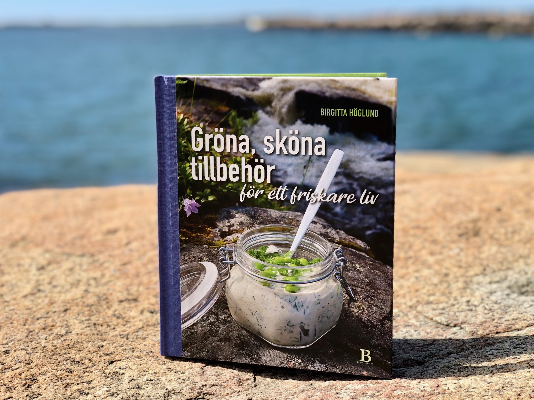 Kokboken Gröna, sköna tillbehör av Birgitta Höglund