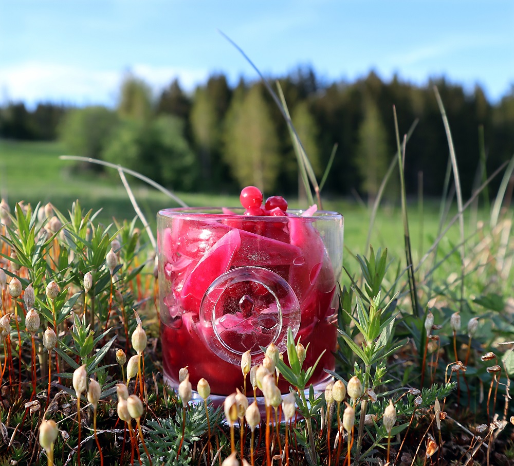 Picklad rödlök med lingon i ett glas på en grönskande äng