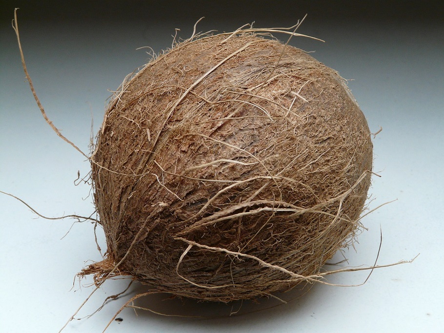 en hel kokosnöt