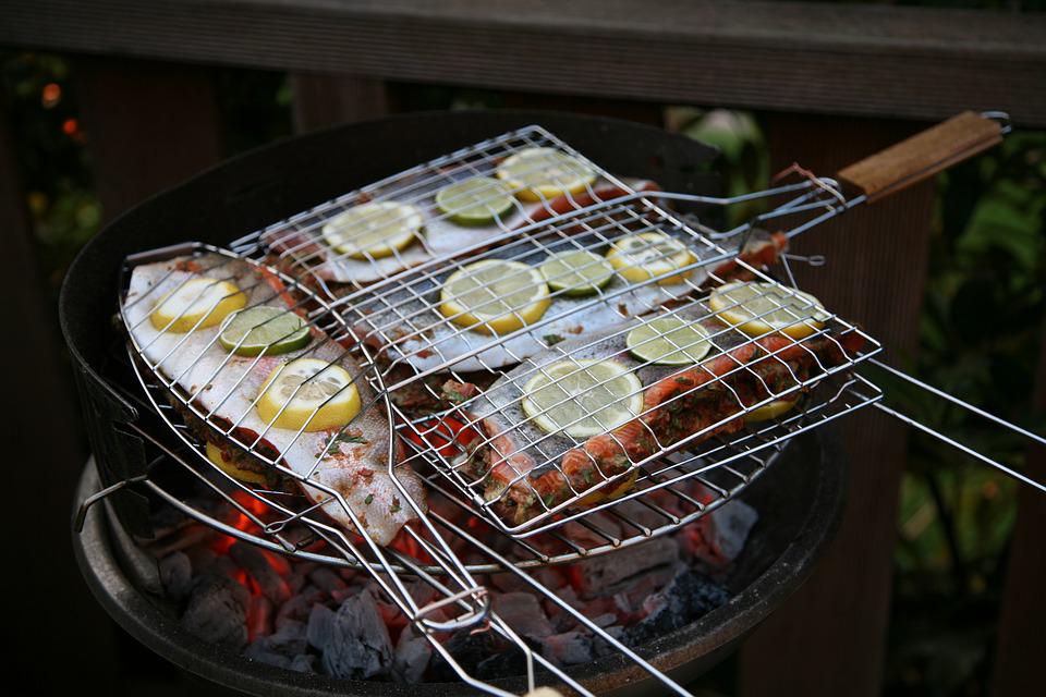 Halster med fisk över en kolgrill på grillens dag